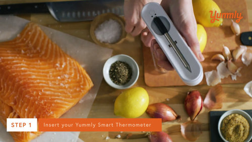 Yummly Digital Probe Bluetooth Compatibility Meat Thermometer in the Meat  Thermometers department at