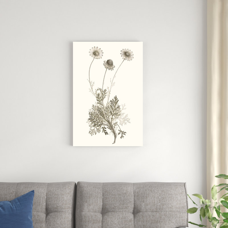 «Neutral Botanical Study VIII», peinture sur toile, H 30 po x l 20 po