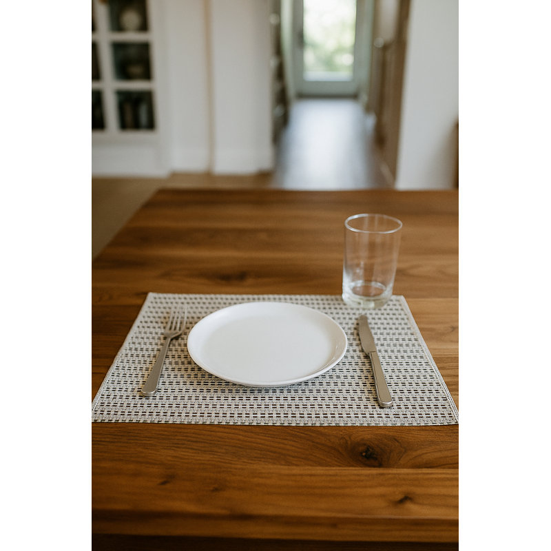 Tropical Teal Compass Line Indoor Outdoor Placemat, Black