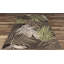 Tapis intérieur / extérieur à motif floral vert / brun Padstow-197305465