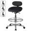 Backed Adjustable Height Ergonomic Stool with Footrest
