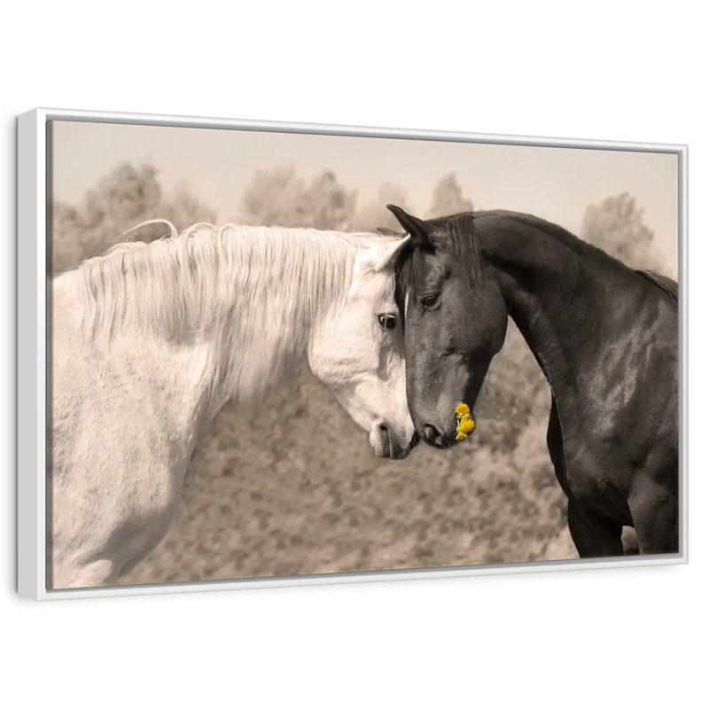 Doux chevaux noirs et blancs, Cadre flottant blanc, 37 po x 25 po