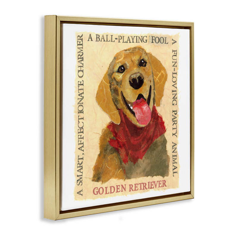 "Fun Golden Retriever", art mural encadré flottant par Nancy Overton, Cadre flottant métallique doré, H 18 po x l 18 po