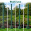 Border Fencing with 1-129872819-129872822