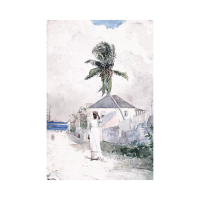 Along The Road, The Bahamas, 1885 by Winslow Homer - Wrapped Canvas Gallery-Wrapped Canvas Giclée