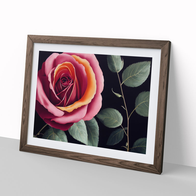 Beaming Rose Flower - Framed Print, Walnut, 25cm H x 34cm W x 2cm D