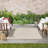 Nourison Essentials Ivory/Beige Indoor/Outdoor Area Rug-888046418