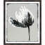 Floral Abstraction 4 Painting