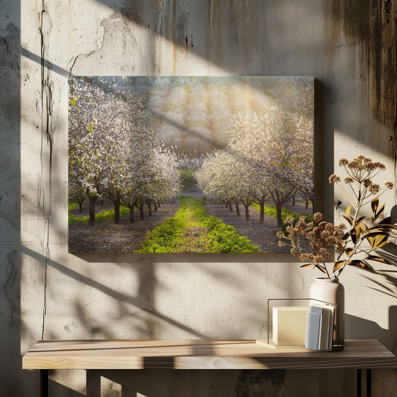 Almonds, 50.8 cm H x 76.2 cm W