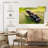 Brampt Exotic Dart Frog-108708422
