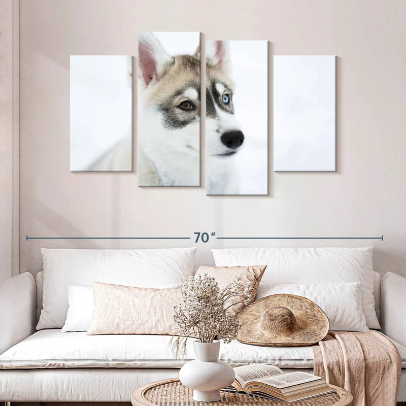 Husky criard