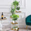 Abiola Plant Stand-207969005