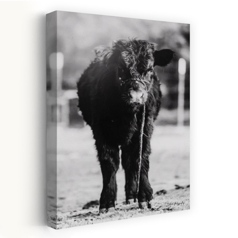 Portrait d'une vache unique abstraite, paysage contemporain, H 48 po x l 32 po