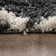 Keppler Geometric Shag Area Rug