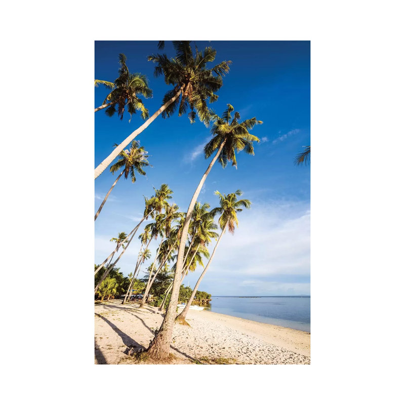 Palm Fringed Beach, Philippines by Matteo Colombo - Wrapped Canvas Gallery-Wrapped Canvas Giclée