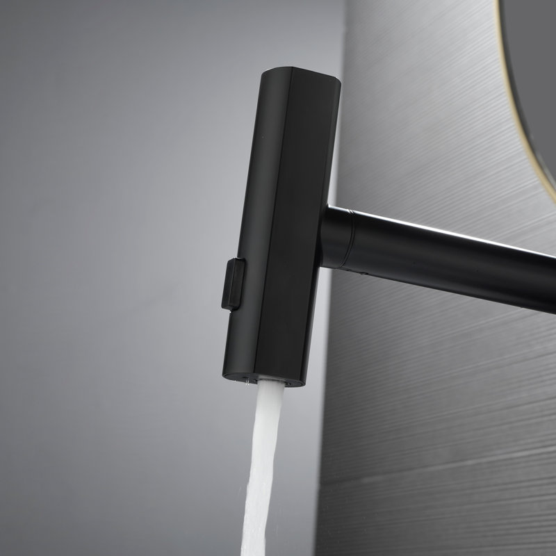 Pull-Out Faucet For Kitchen And Bathroom, Matte Black