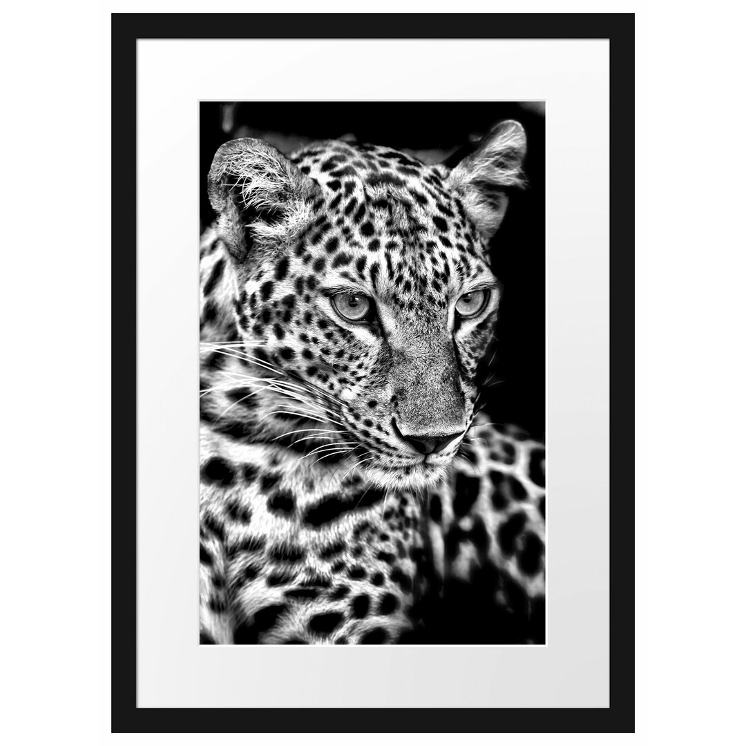 Gerahmtes Poster Leopard mit blauen Augen