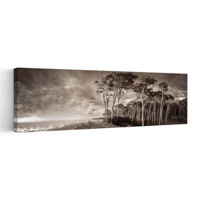 Moody Beach Forest Dramatic Vintage Abstract Coastal Wall Art