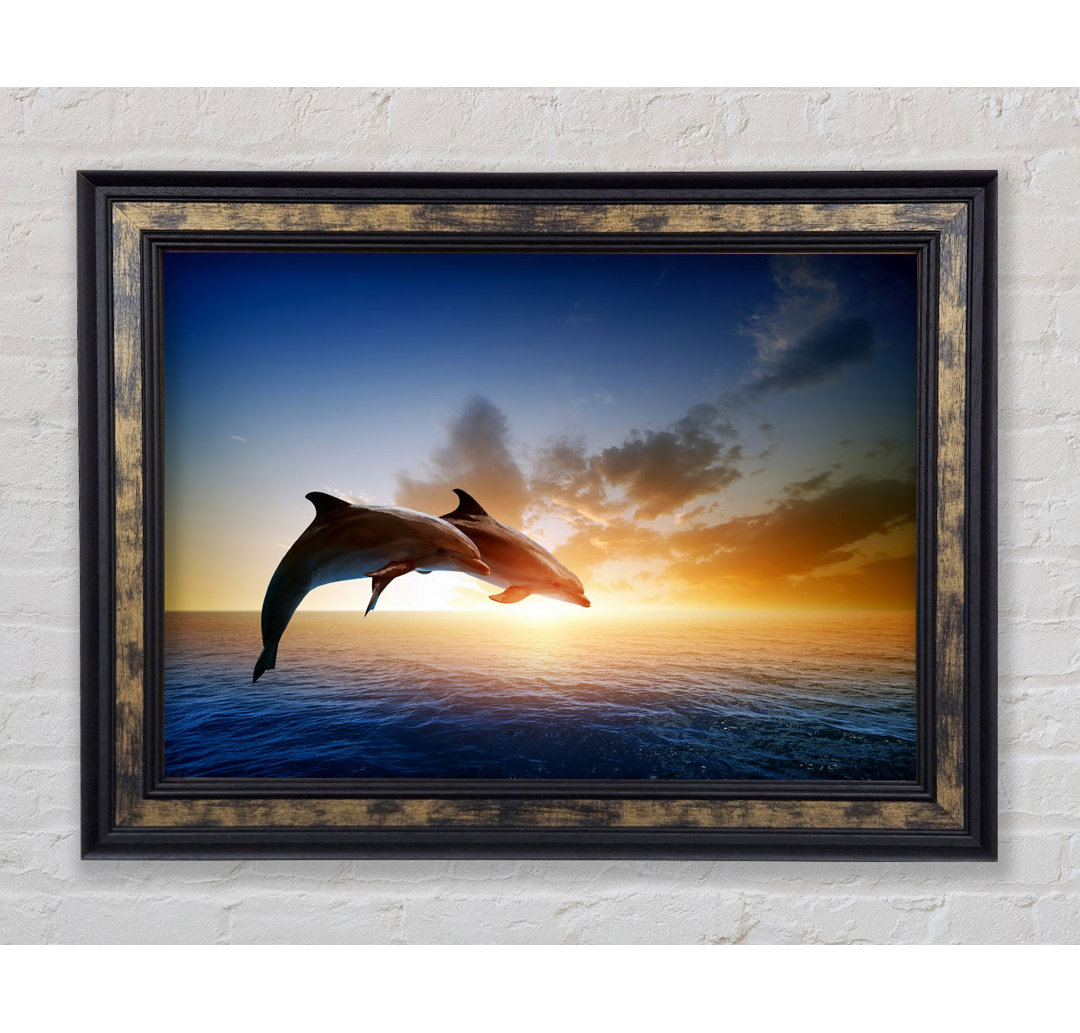 Gerahmtes Poster Jumping Sunset Dolphins