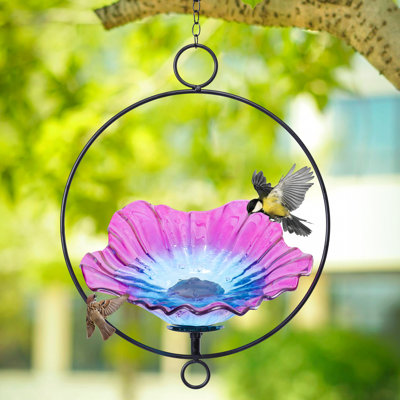 Bain d'oiseaux d'extérieur, mangeoire suspendue pour bain d'oiseaux avec cadre en forme d'anneau en métal, bain d'oiseaux en forme de fleur, pour jardin, cour, décoration extérieure