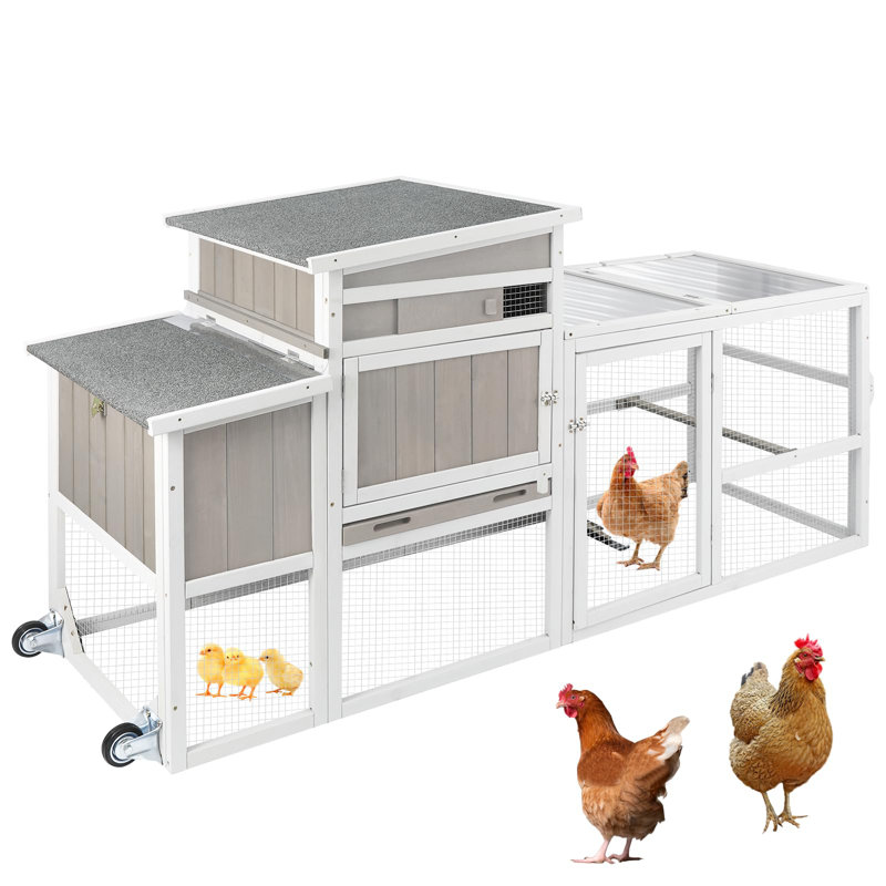 Cage à poules pour l'extérieur Gyta