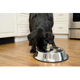 Anti-Skid Pet Bowl