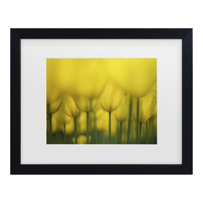 Bolog Takashi Suzuki Yellow One Color Matted Framed Art