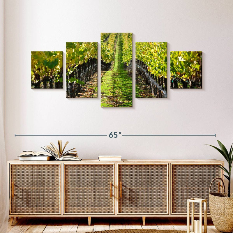 Napa Valley Vineyard, H 24 po x l 55 po