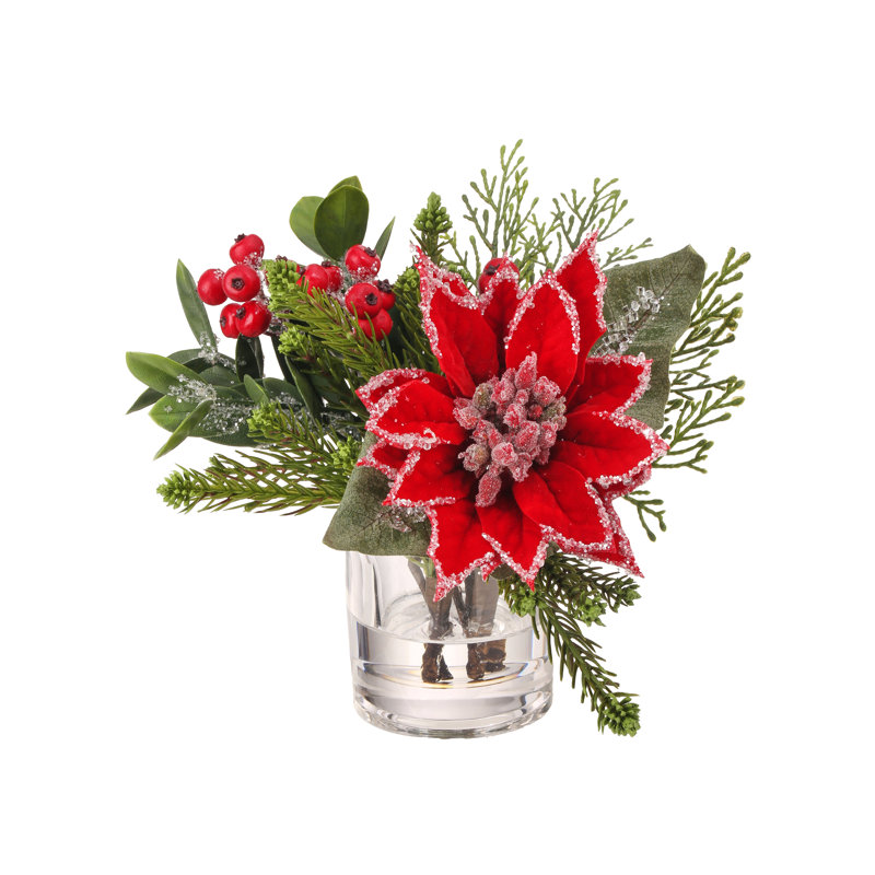 Arrangement de poinsettia glacé 9 po