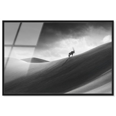 Oryx sur la dune, impression acrylique encadrée, art de salon nature par