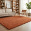 Ainsley Plain Living Room Shaggy Area Rug Modern Soft Pile Polyester Rug-1957069031-1957084372