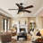 Egehan 52'' Ceiling Fan with Light Kit