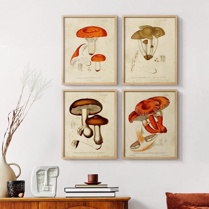 «Mushroom Variétés», reproduction encadrée - ensemble de 4, Noir, H 28 po x l 22 po
