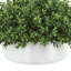 Faux Boxwood Plant in Ceramic Pot-2113066378