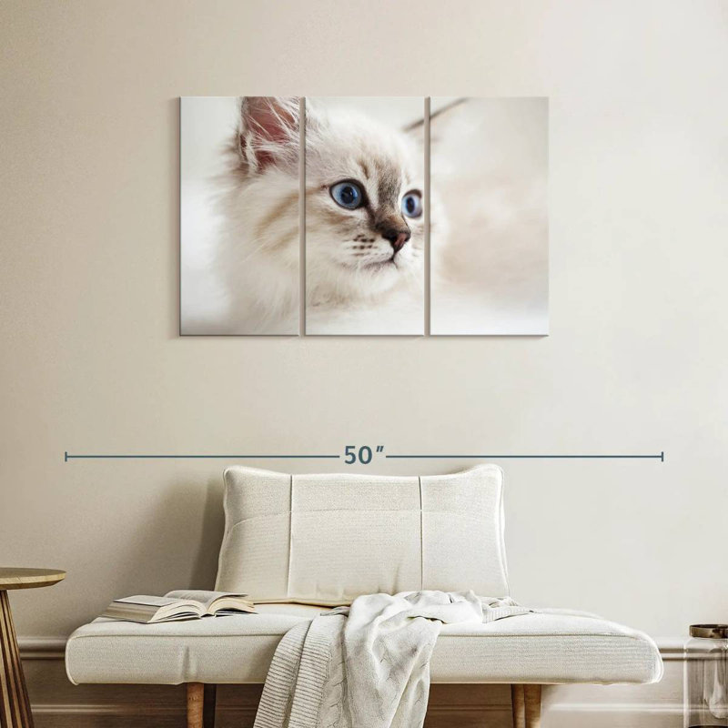Brampt Neva Masquerade Cat, 24" H x 38" W