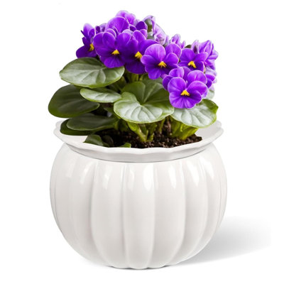 Self-watering African Violet Pot 6 Inch White-pumpkin Shape