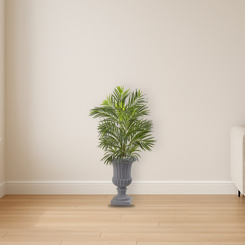 Areca Palm Tree with Gray Urn Planter