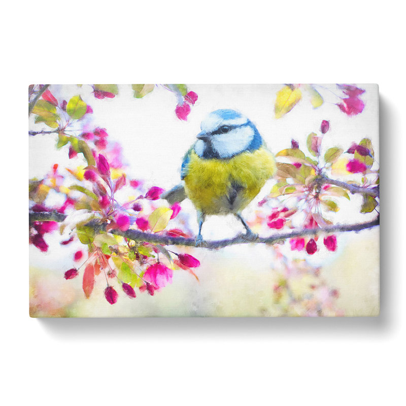 Blue Tit Bird In Spring - Wrapped Canvas Painting, 35cm H x 50cm W x 3cm D