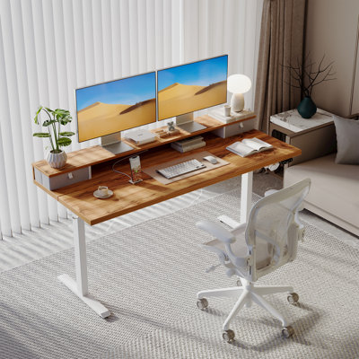 55" Electric Height Adjustable Standing Desk With Drawers,Home Office Desk with Large Monitor Shelf