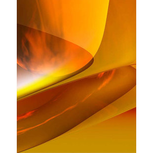 « modern moutard » par scott j. menaul, impression sur toile tendue