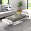 Potsdam Pedestal Coffee Table with Storage