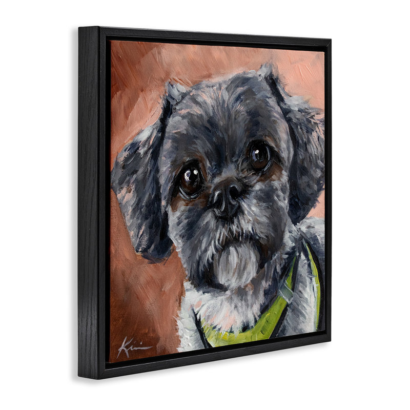 Portrait de chien Shih Tzu, H 18 po x l 18 po, Cadre flottant noir de jais