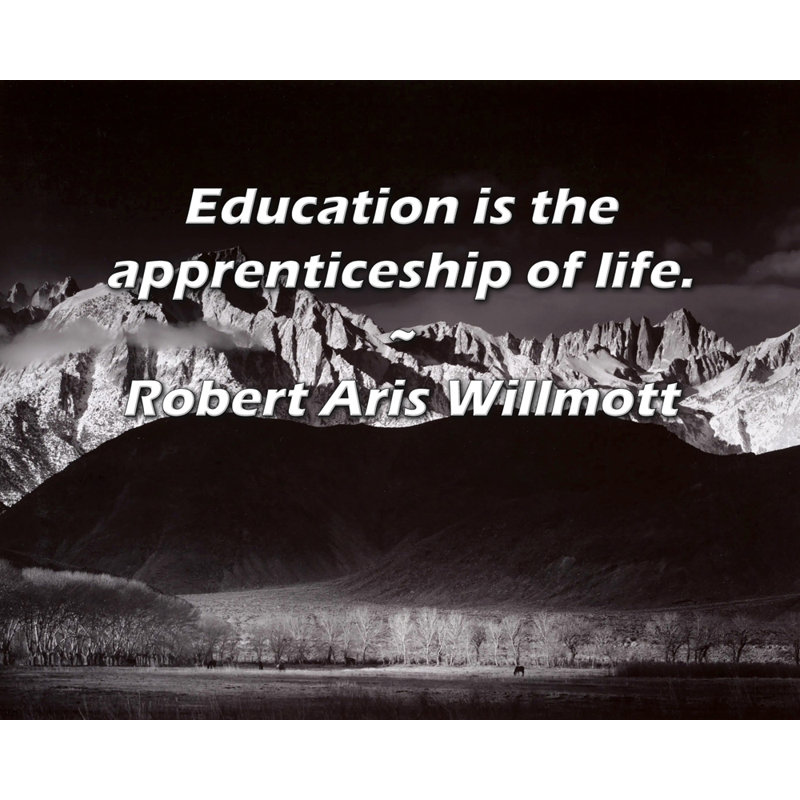 «Artsy Quote» par Robert Aris Willmott, toile tendue avec châssis