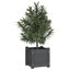Alatea Wood Planter Box-967479408-967479410