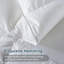 Édredon en duvet de plumes 100% coton toutes saisons-1124086526