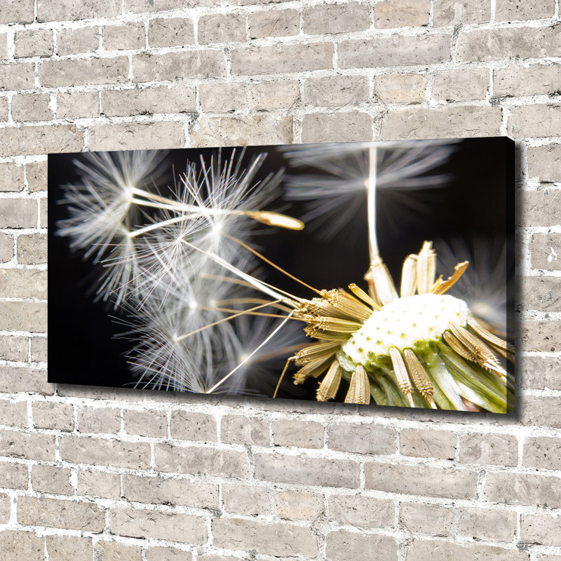 Dandelion Seeds - Print, Glass, 70cm H x 100cm W x 4cm D