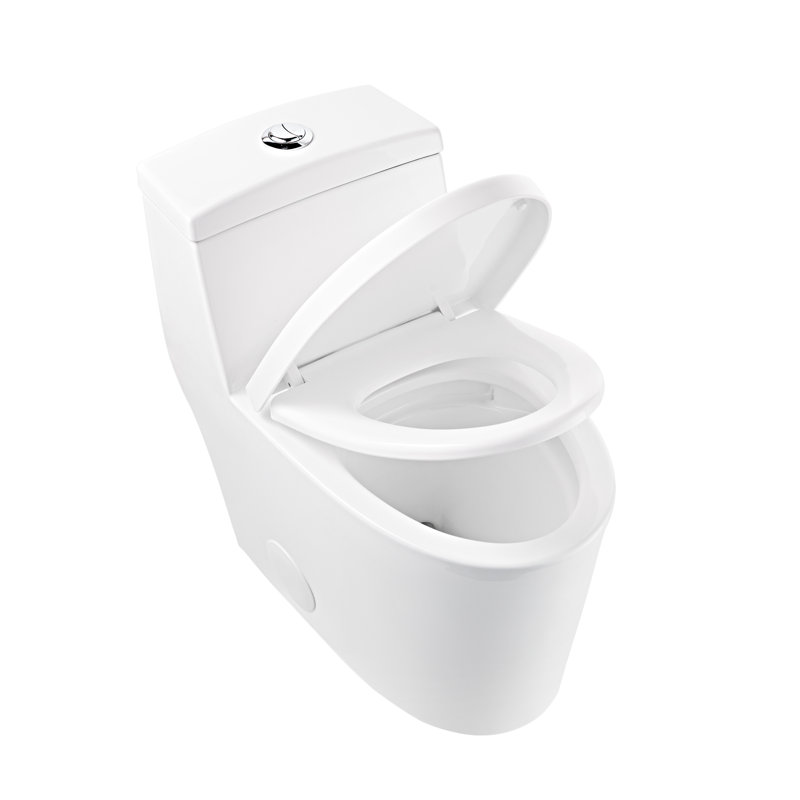 Toilette allongée monobloc DeerValley Prism, Blanc/chrome, 10"