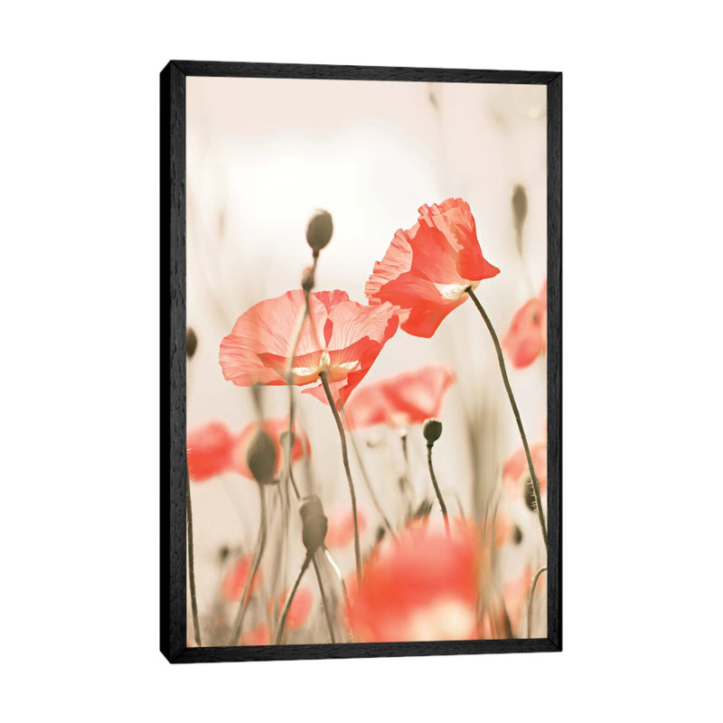 Poppy Flowers Peach 1 Piece Wall Art on Canvas, 66.04cm H x 45.72cm W x 3.81cm D, Black Framed