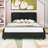 Upholstered Platform Bed with Built-in Bluetooth Speakers and RGB LED Light-1412637439-1412637436