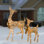 Fawn with Doe with LED Lights